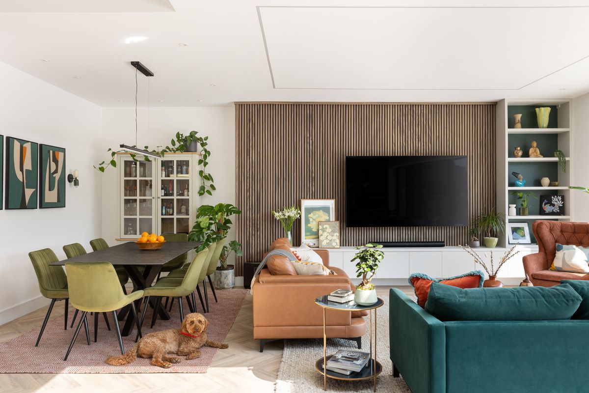 Open-plan living and dining room with timber-slatted media wall, teal sofa and a dog on the rug – Delamere Road by Studio95 Architects. Photograph by Daniel Avery.